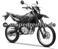 WR 125 R