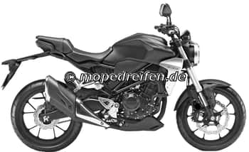 CB 300 R / CBF 300 AB 2018