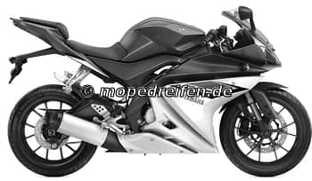 YZF-R 125 AB 2014-RE11 / e13*2002/24*