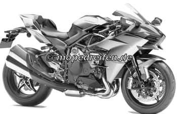 NINJA H2 AB 2017-ZXT00X / e4*168/2013***