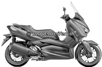 X-MAX 300-SH08 / e13*168/2013****