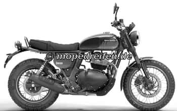 BEAR 650-e5*168/2013***